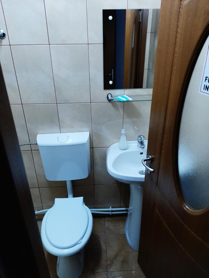 Vila Vanda Cluj-Napoca Ngoại thất bức ảnh