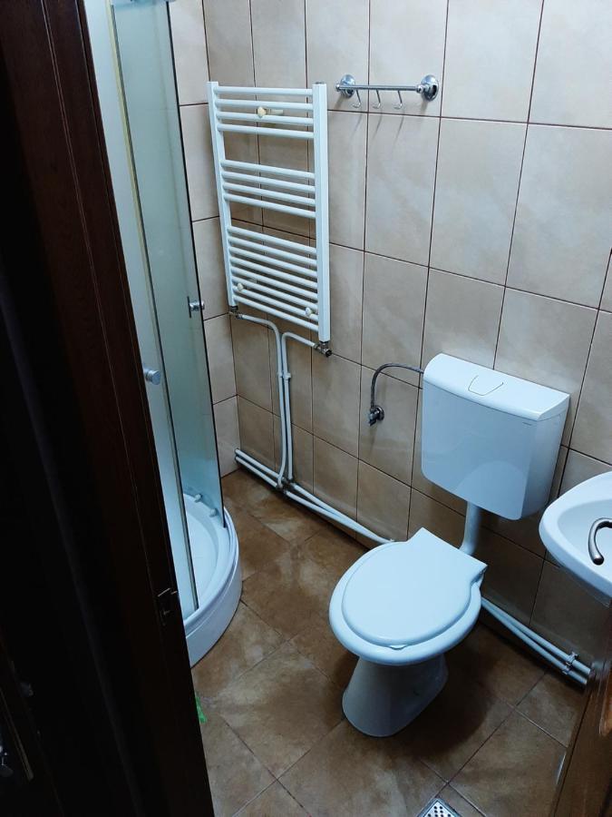 Vila Vanda Cluj-Napoca Ngoại thất bức ảnh
