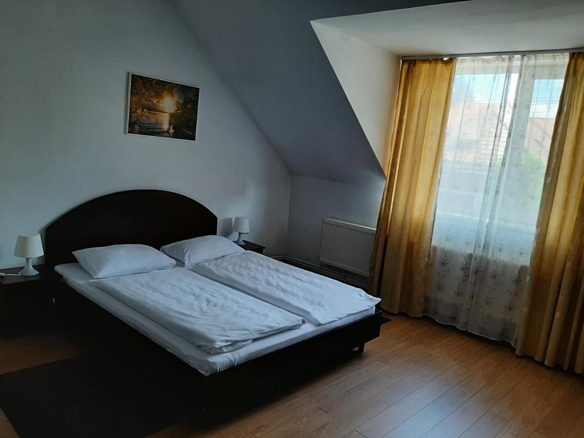 Vila Vanda Cluj-Napoca Ngoại thất bức ảnh