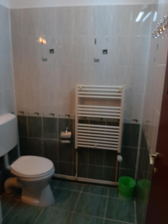 Vila Vanda Cluj-Napoca Ngoại thất bức ảnh